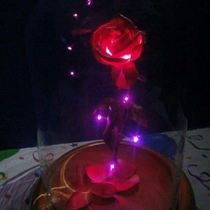 Meet your Posher, Gwendolynn