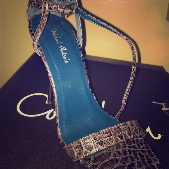 Stiletto snake skin