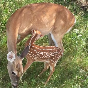 Meet your Posher, Victoria