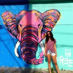 Meet your Posher, Molly