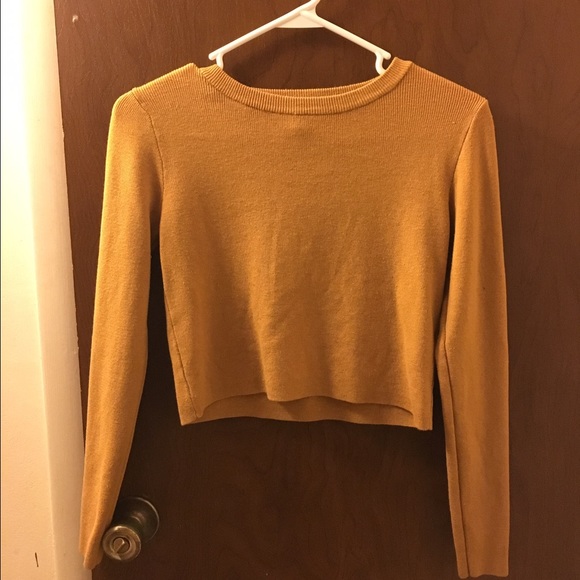 F21 Long sleeve crop top
