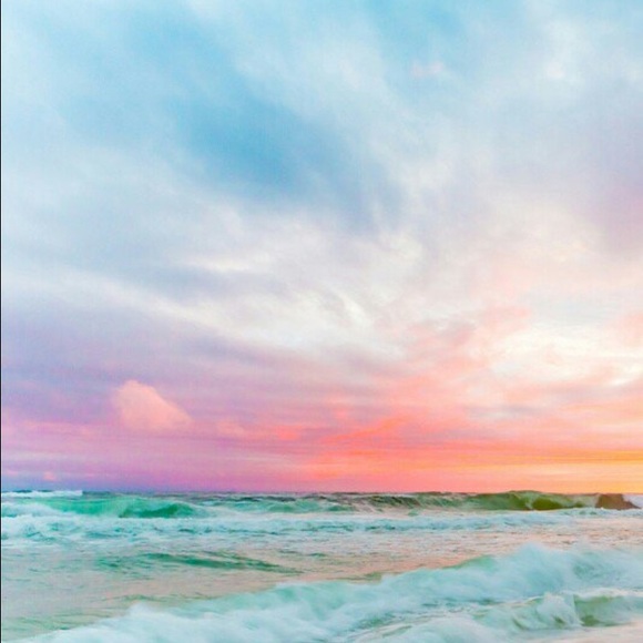 Meet your Posher, Ann