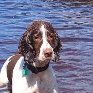 Meet your Posher, Rita