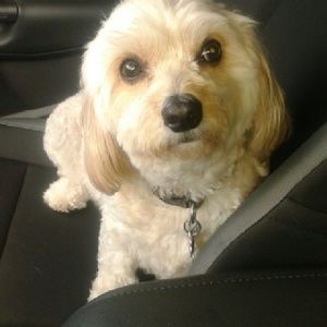 Meet your Posher, Lorraine