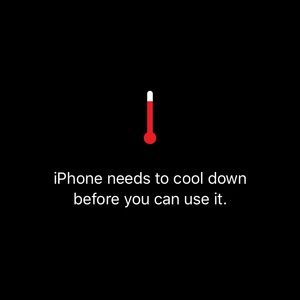 Meet your Posher, Rodney