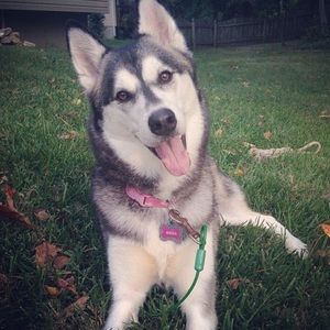 Meet your Posher, Kevin