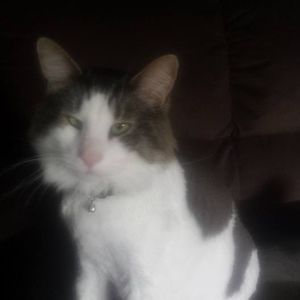 Meet your Posher, Jean