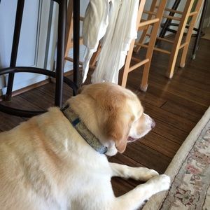 Meet your Posher, Vicki