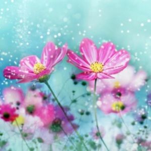 Meet your Posher, Mary