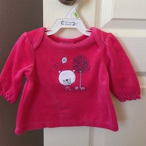 NWOT Absorba velvet top - 0/3 months