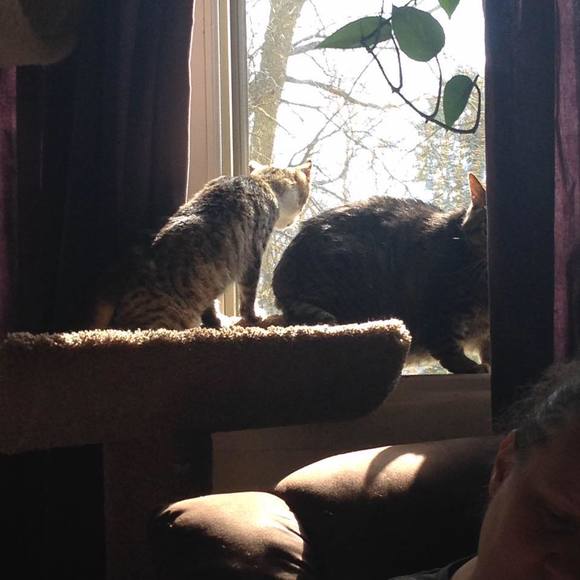 Meet your Posher, Wendy - Picture 1 of 1