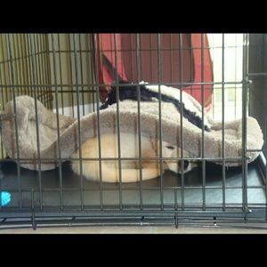 Meet your Posher, Blake