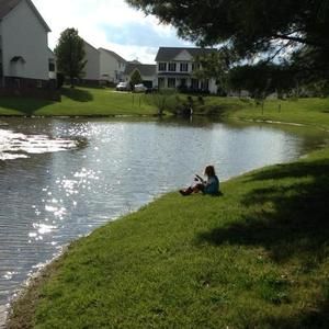 Meet your Posher, Daisy