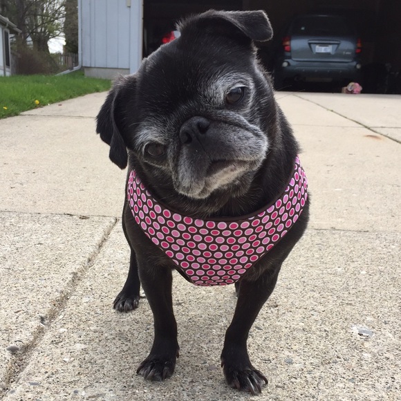 ⭐️ Closet Info ⭐️ - Picture 2 of 2