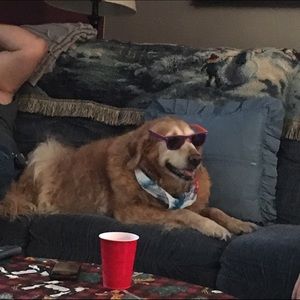 Meet your Posher, Barbara