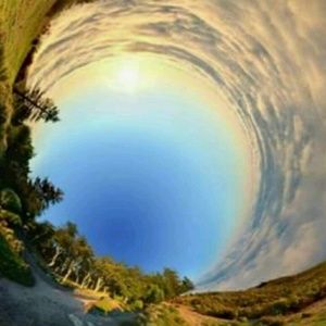 Meet your Posher, Tonia