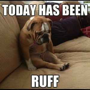 Meet your Posher, Karli