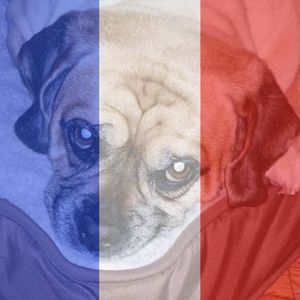 Meet your Posher, Clarissa