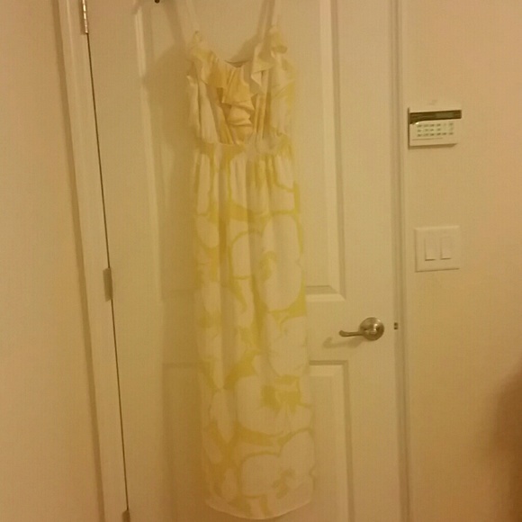 Ann Taylor Loft Maxi