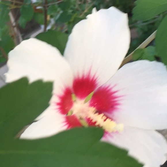 Meet your Posher, Jaime - Picture 1 of 1