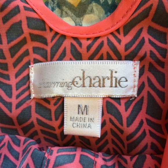 Charming Charlie's dress - Picture 2 of 2