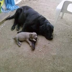 Meet your Posher, Jennie