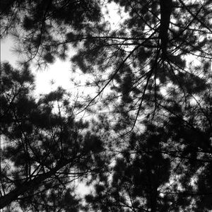 Meet your Posher, Caitlyn