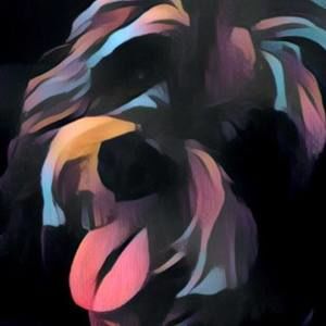 Meet your Posher, Jane