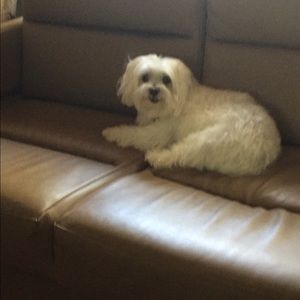 Meet your Posher, Sue