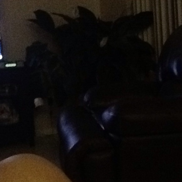 Meet your Posher, Maria - Picture 1 of 1