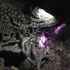 Meet your Posher, Ana