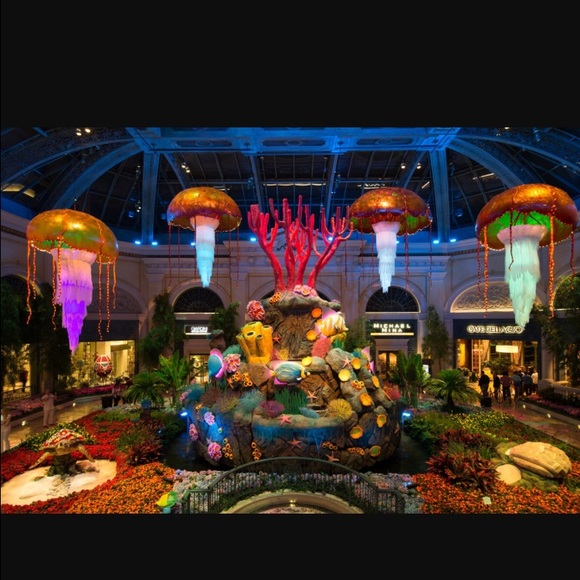 🎉LAST CHANCE TO GET YOUR TICKET🎉for AUGUST 4th - Picture 2 of 4