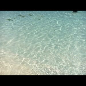 Meet your Posher, Marissa