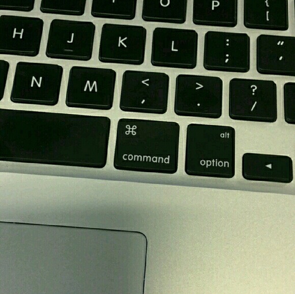 Tree - Picture 2 of 4