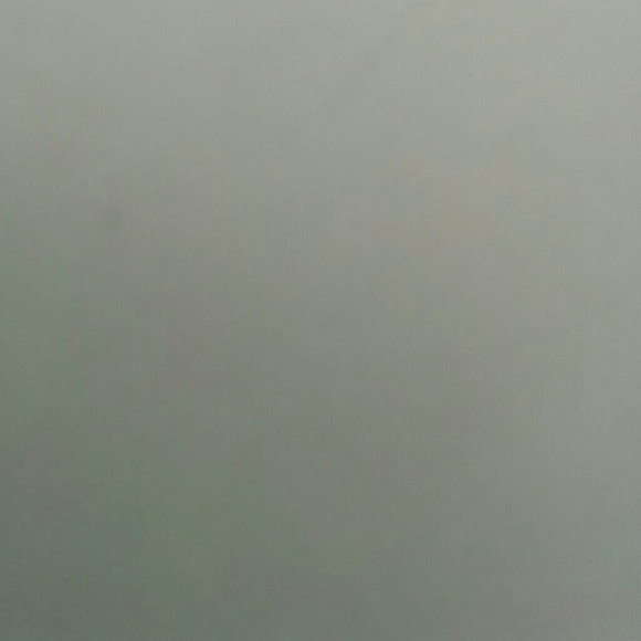 Tree - Picture 4 of 4