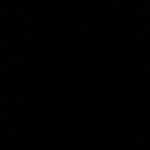 Meet your Posher, Dasia