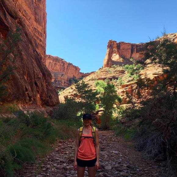 Meet your Posher, Molly - Picture 1 of 1