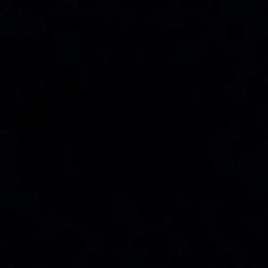 Meet your Posher, Nyla