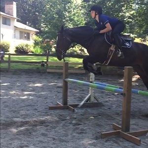 Meet your Posher, Annette