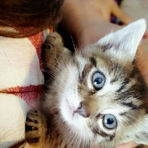 Meet your Posher, Daisy