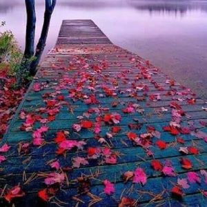 Meet your Posher, Monika