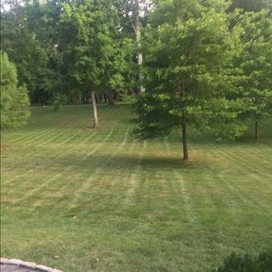 Meet your Posher, Kristin