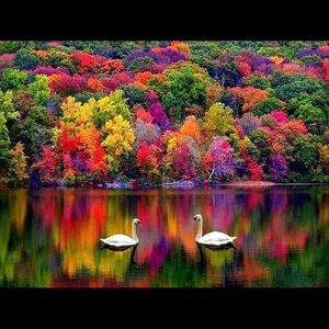 Meet your Posher, Shira