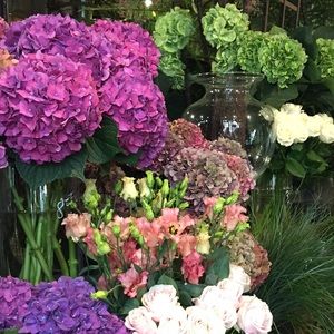 Meet your Posher, Lynne