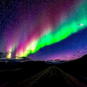 Meet your Posher, Desirae