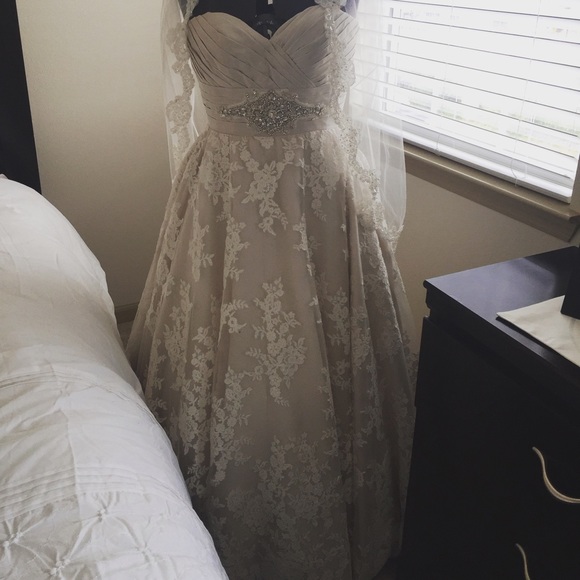 Wedding Dress Allure
