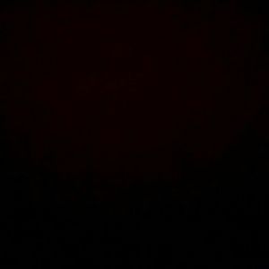 Meet your Posher, Ally