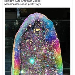 Meet your Posher, Bonnie