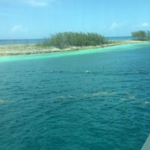 Meet your Posher, Penny