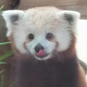 Meet your Posher, Monique